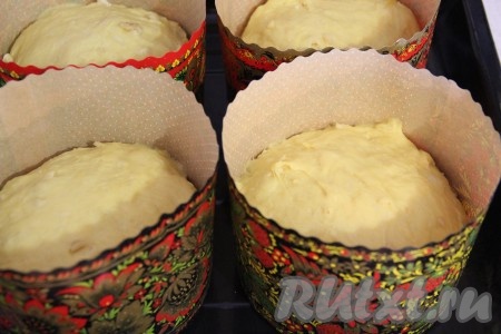 Готовое тесто хорошо обмять, а затем разложить по формам, заполняя их на 1/2 объёма. Я использовала бумажные формы для выпекания куличей. Прикрыть формы полотенцем и оставить в тёплом месте, без сквозняков, на 1 час.
