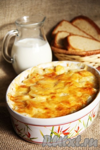 Картофель со сливками и сыром в духовке