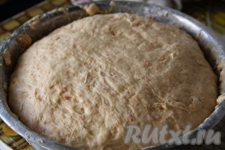 Добавить просеянную муку и замесить однородное тесто. Тесто получится мягким, эластичным и будет слегка прилипать к поверхности. Оставить тесто на 90 минут в тёплом месте для подъема, оно должно увеличиться в 2-3 раза.
