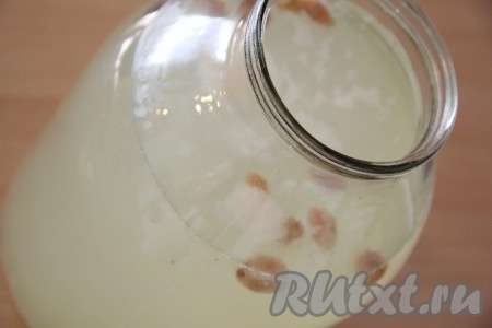 Готовый мятный квас разлить по бутылкам, закрыть крышками и поставить в холодильник на сутки.
