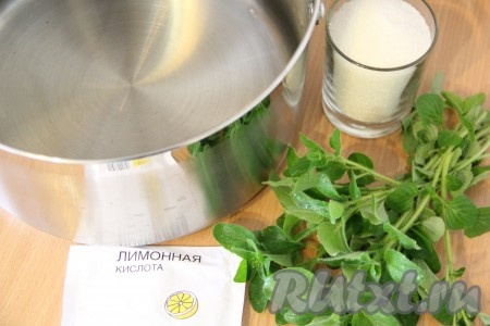 Для начала нужно приготовить мятный сироп. Веточки мяты вымыть и обсушить.
