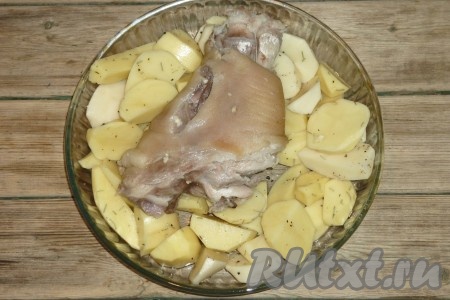 На дно формы, в которой будем запекать блюдо в духовке, выложить картошку, сверху положить рульку. Закрыть форму фольгой.&nbsp;
