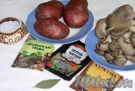 Значительно улучшается вкус овощных отваров при варке тонко измельченных продуктов. Особый вкус приобретают супы, если продукт или его часть превращается в пюре. Суп становится сметаноподобным по консистенции, нежным на вкус.&nbsp;Супы на воде при подаче можно заправить сливками, кефиром, сметаной, майонезом, смесью кефира и майонеза или сметаны и майонеза. Похлебки готовят "на раз", их не разогревают. Я, правда, брала на работу и разогревала в микроволновке. Ну, а постящимся этот рецепт - находка. Просто, быстро, сытно и вкусно. На этот раз я взяла 2 ингредиента - грибы и картошку, для сытности. Но все же это не суп, а самая настоящая похлебка.