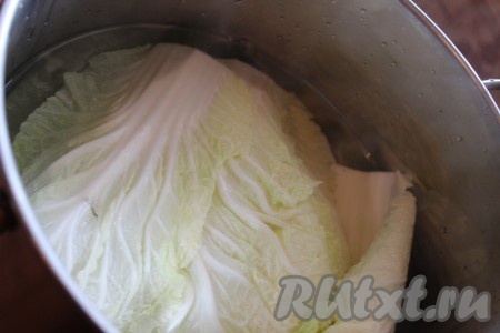 В большой кастрюле вскипятить воду, поместить туда капустные листья на 3-4 минуты. Затем вынуть из воды, выложить на бумажное полотенце и дать остыть. &nbsp;
