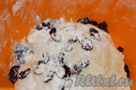 Замесить тесто. В конце замеса добавить вымытую и просушенную клюкву. Накрыть тесто полотняной салфеткой и поместить в теплое место на 3 часа. За это время 2-3 раза обмять подошедшее тесто.
