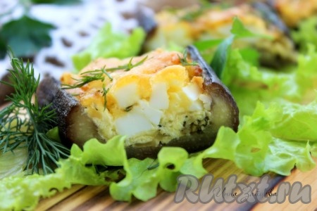 Баклажаны, фаршированные сыром и яйцом