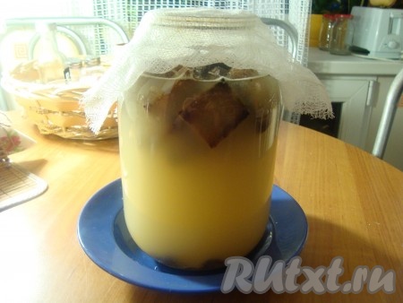 Выкладываем в банку зарумянившиеся корки, доливаем тёплую воду "по плечики" банки. Ставим банку в глубокую тарелку, так как квас в процессе приготовления может немного "убежать". Накрываем банку марлей, сложенной в 2 слоя и оставляем на 3 дня при комнатной температуре.