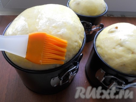 Накрыть формы с тестом чистым полотенцем и оставить на 1,5 часа в теплом месте. Смазать верх подошедшего теста желтком.