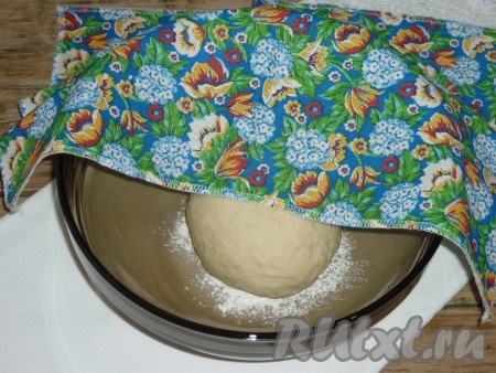 Накрыть миску с тестом полотенцем и оставить на один час отдохнуть.