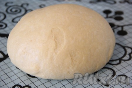 Поднявшееся тесто выложить на поверхность, присыпанную мукой, и хорошо обмять.