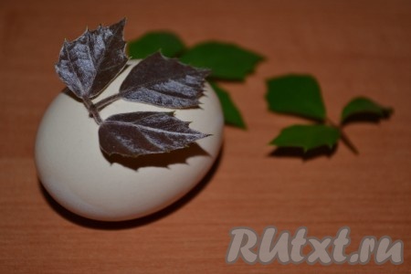 К вымытому куриному яйцу приложить листик любого цветочка или дерева.
