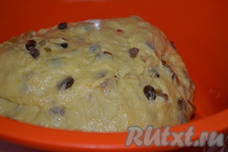 Добавляя частями муку, замесить не липнущее к рукам, мягкое тесто и оставить в тёплом месте. Тесто хорошо поднимется.
