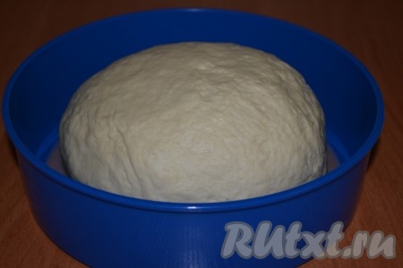 Взбить яйца с солью, добавить в тесто и перемешать. Частями вводить муку, непрерывно вымешивая тесто. Тесто получится мягким. Оставить его для подхода в тёплом месте, оно должно вырасти в два раза.
