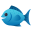 🐟