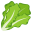 🥬