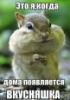 Фото пользователя